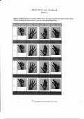 ASL Trueway Unit 2.1 Worksheet Complete Solution