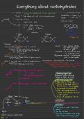 Summary -  Unit 1 - Biological molecules - carbohydrates - infographic 