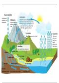 Hydrological cycle