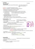 Samenvatting Histologie: Bloed