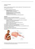 Het spierstelsel Anatomie en Fysiologie