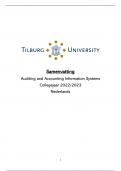 Samenvatting Auditing and Accounting Information Systems