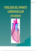 fisiología cardiaca