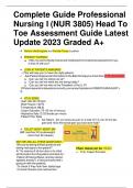 Complete Guide Professional  Nursing I (NUR 3805) Head To  Toe Assessment Guide Latest  Update 2023 Graded A+