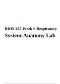 BIOS 255 Week 6 - Respiratory System Anatomy Lab Report