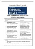 Microeconomics edexel theme 1 ADV and DISADV