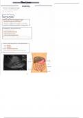 1. liver anatomy (abdomen ultrasound)
