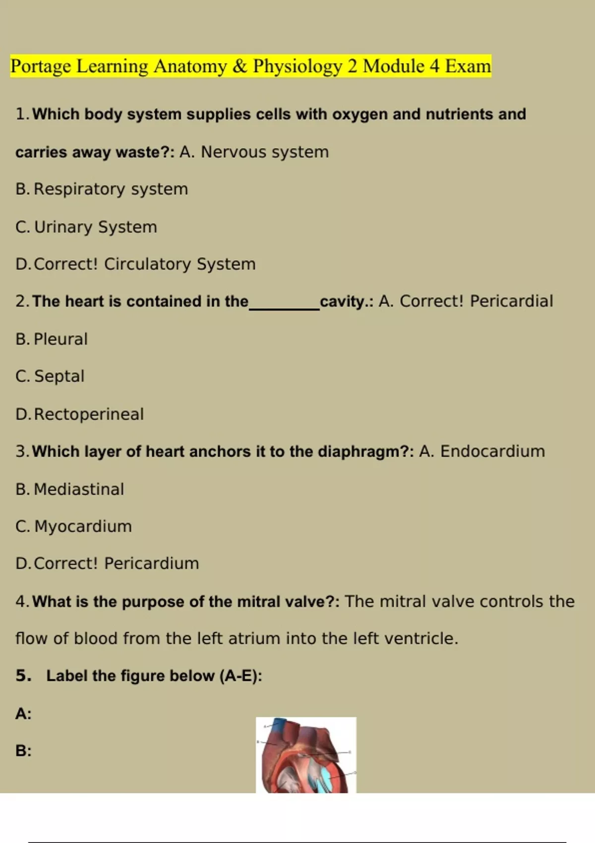 BIOD 152/A & P 2 Module 4 Exam Portage Learning Questions and Answers ...