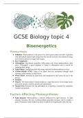 GCSE Biology bioenergetics summary
