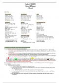 Latest NR 341 Exam 2 Focus Sheet