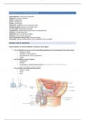 Anatomie en fysiologie: hoofdstuk 19
