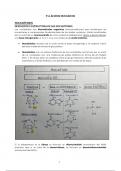 Resumen ácidos nucléicos biología 2bach-EBAU