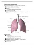 BIOD 151 A&P 1 Module 2: General Anatomy of Respiratory System