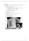Samenvatting radiologie ademhaling deel 2