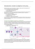 Immunology Summary