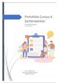 Portofolio cursus 4: adviseren in zorgtechnologie samenwerken (cijfer 10!)