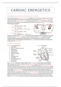 Samenvatting Pathophysiology of Heart and Circulatory System