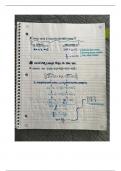 College Algebra Notes 