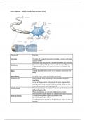 Summary Notes on Nerve Impulses - AQA A Level Biology 