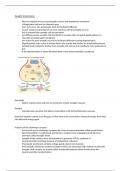 Summary Notes on Synaptic Transmission - AQA A Level Biology 