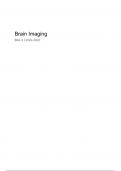 Samenvatting -  Brain Imaging (P_MBRIMAG_AI)