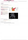 4. pancreas (abdominal ultrasound)