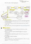 Summary notes- nutrient cycles and fertilisers