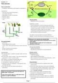 Summary plant diversity grade 11 (ieb)