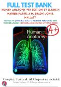 Test Bank For Human Anatomy 9th Edition By Elaine N Marieb; Patricia M. Brady; Jon B. Mallatt ( 2020-2021 ) / 9780135206195 / Chapter 1-29 / Complete Questions and Answers A+