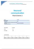 Neuronal communication