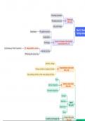 Mind map for SMA for Module 1-3