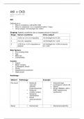 4th year renal medicine notes