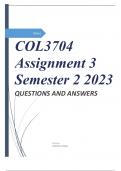 COL3704 Assignment 3 Semester 2 2023