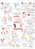 Immunology and infectious disease
