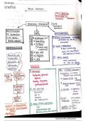 Medicine-Renal-Systemhandwritten-Notes-.pdf