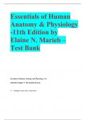 Essentials of Human Anatomy & Physiology -11th Edition by Elaine N&period; Marieb &ndash; Test Bank 2023
