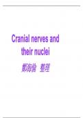 in depth explanation of cranial nerves and their nuclei