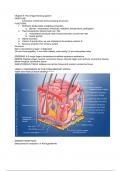 Chapter 5: The integumentary system