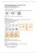 Ontwikkelingsbiologie DT1 (Samenvatting HC, COO)