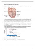 Cardiac Study Guide Complete Questions And Answers Graded A+