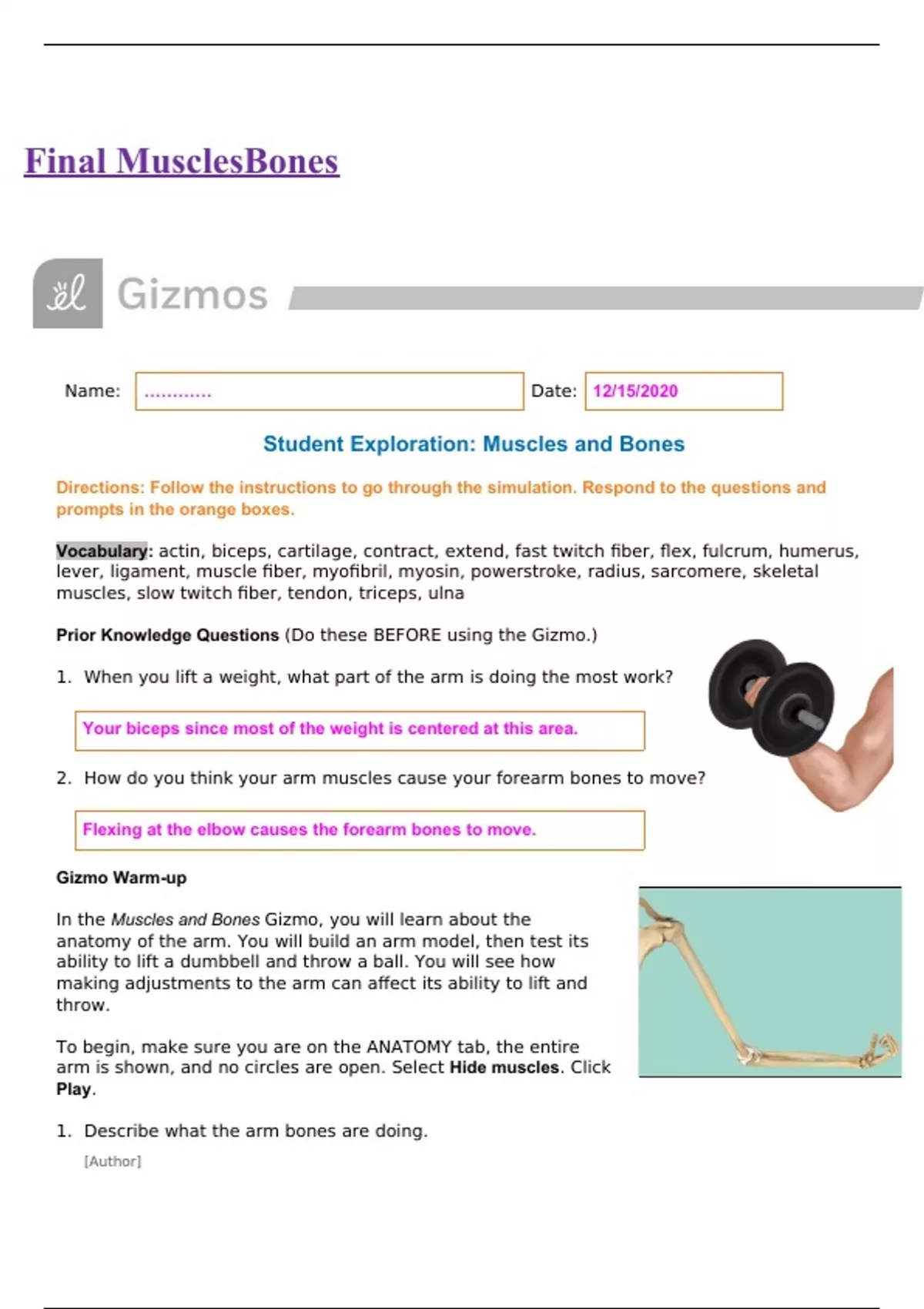 Student Exploration: Muscles and Bones GIZMOS 2020 EXAM QUESTIONS AND ...