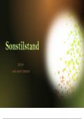 All you need to know summary and questions + answers about the short story "Sonstilstand" by Jan van Tonder