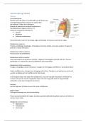 Samenvatting anatomie van de thorax, abdomen en pelvis