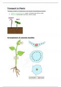 (3) Transport in Plants