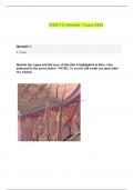 BIOD 151 Module 7 Exam 2023 
