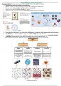 A study guide in physical science