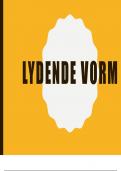 All you need to know on "Lydende Vorm" rules in Afrikaans with actual IEB questions and answers to test yourself
