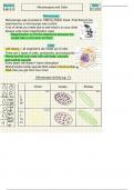 Microscopes and Cells Lab Notes 
