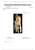 Practical Exam: Appendicular skeleton exam very correct