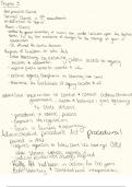 Notes for Exam 1